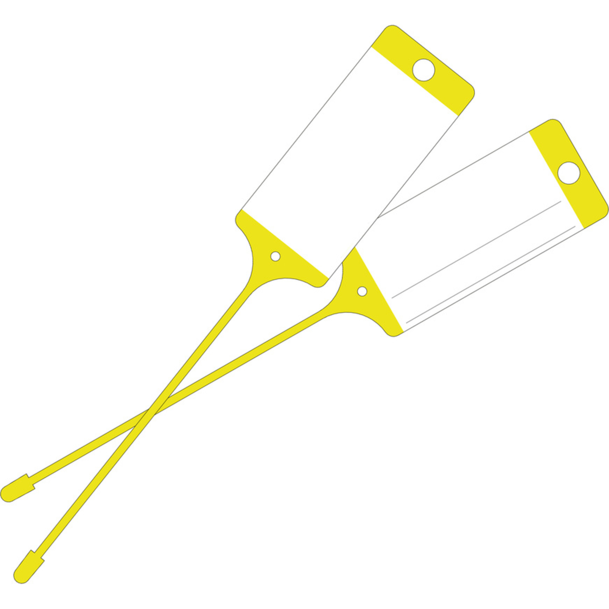 Y001202N